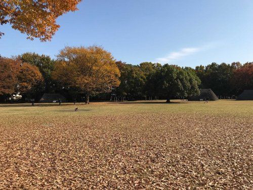 水子貝塚公園の画像