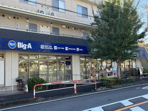 ビッグ・エー 朝霞仲町店の画像