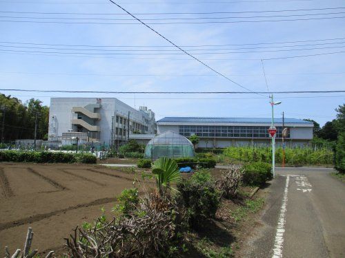 三鷹市立第７中学校の画像