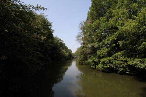 武蔵関公園の画像