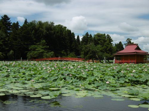 猿賀公園の画像