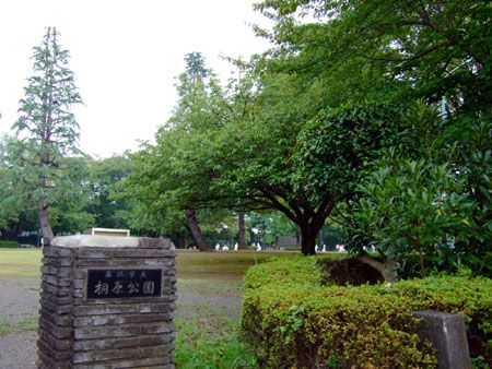 桐原公園の画像