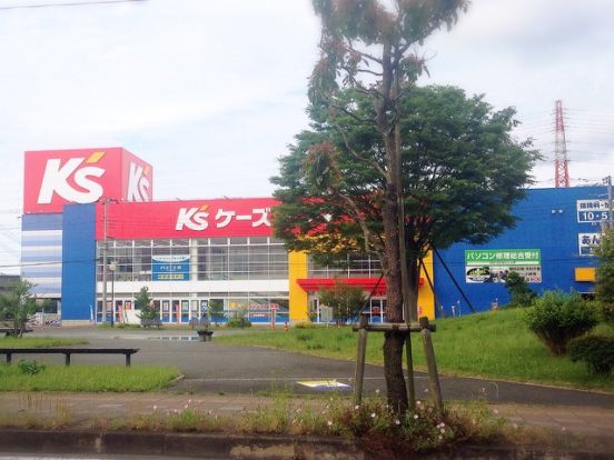 ケーズデンキ成田本店の画像