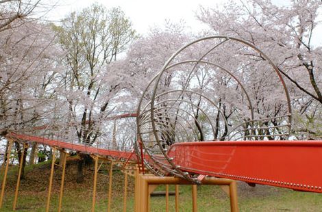 清水寺公園の画像