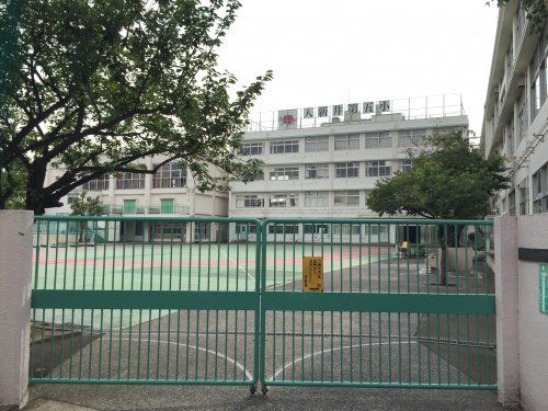 入新井第五小学校の画像