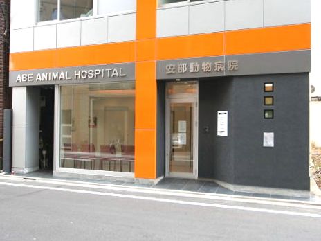  安部動物病院の画像