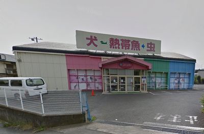  （株）カネダイ 海老名店の画像