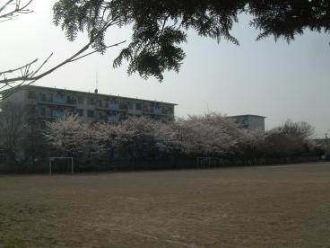  昭島市立田中小学校の画像