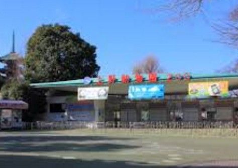  上野動物園の画像