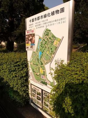 千葉市都市緑化植物園の画像