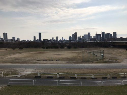  淀川河川公園西中島地区野球場の画像