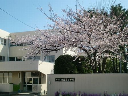 【茅ヶ崎市】東海岸小学校の画像