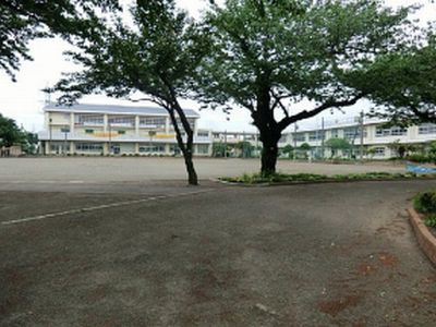 【平塚市】中原小学校の画像