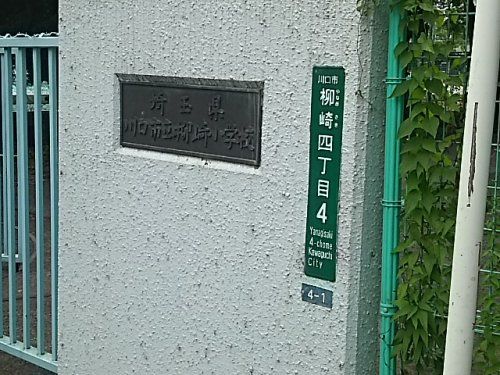 川口市立柳崎小学校の画像