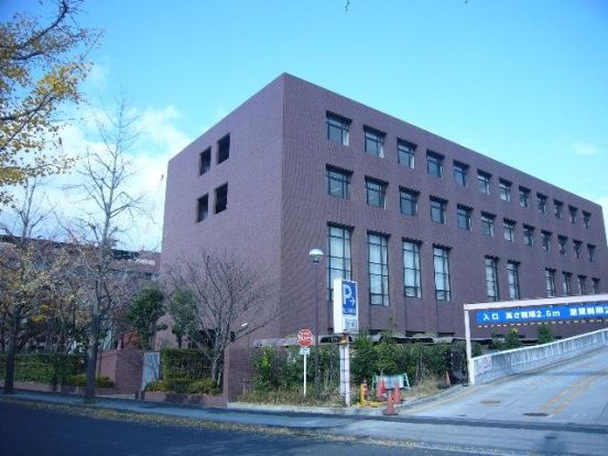 武庫川女子大学薬学部の画像