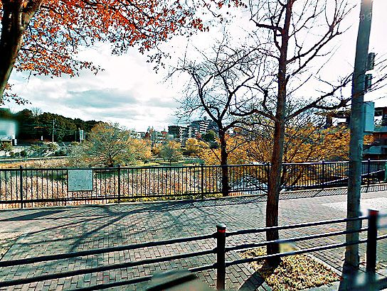 野間大池公園の画像