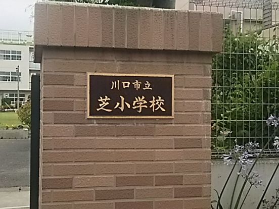 川口市立芝小学校の画像