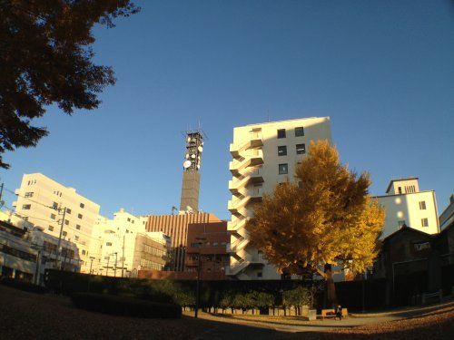 丸の内公園（甲府市）の画像