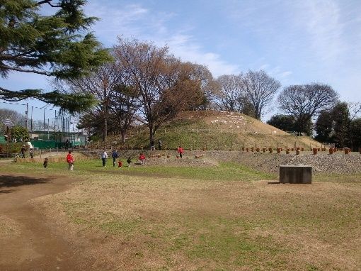 玉川野毛公園の画像