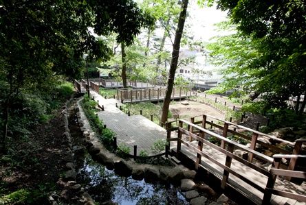 上野毛自然公園の画像
