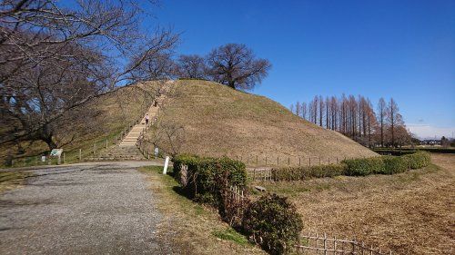 さきたま風土記の丘の画像