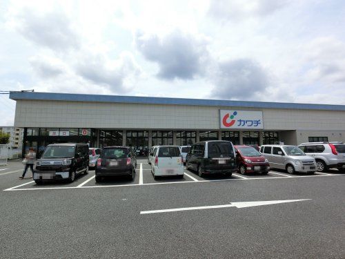  カワチ薬品 成田ニュータウン店の画像