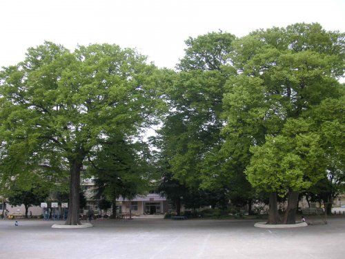 鴻巣市立鴻巣東小学校の画像