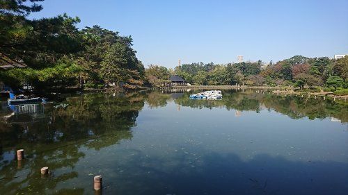 千葉公園の画像