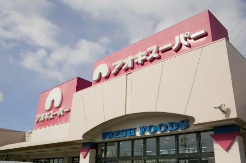 アオキスーパー 乙川店の画像