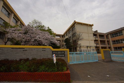 宮前小学校の画像