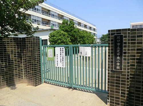 川口市立芝中央小学校の画像