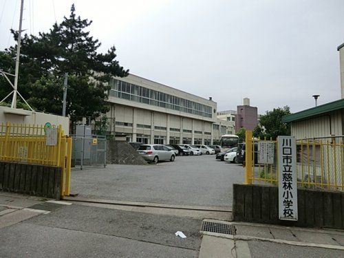 川口市立慈林小学校の画像