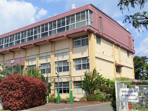 川口市立根岸小学校の画像