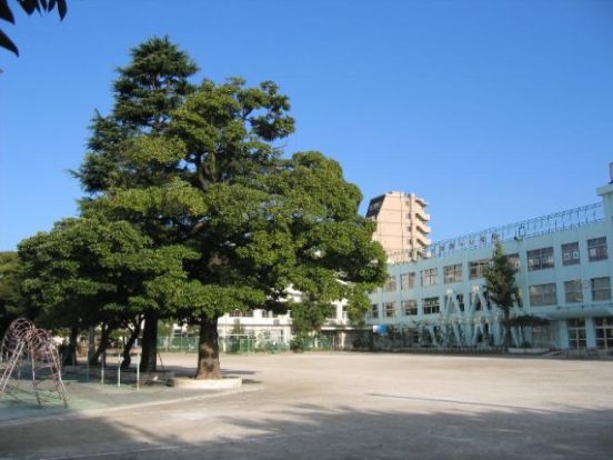 大井第一小学校の画像