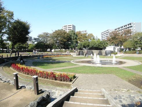 天沼弁天池公園の画像