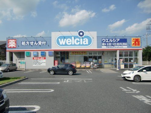 ウエルシア薬局深谷上野台店の画像