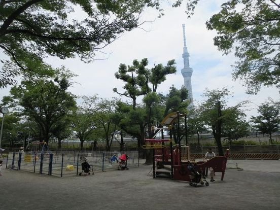 区立隅田公園の画像