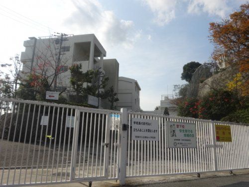 宝塚市立 逆瀬台小学校の画像