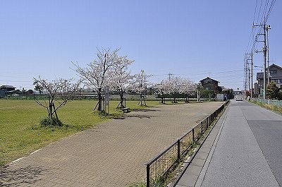 八潮南公園の画像