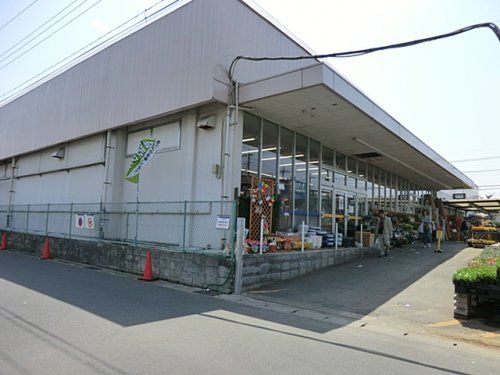 ケーヨーデイツー東川口店の画像
