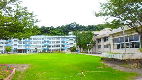 鹿児島市立坂元小学校の画像