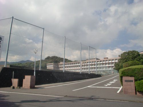 鹿児島国際大学の画像