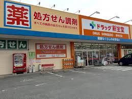  ドラッグ新生堂 那珂川店の画像
