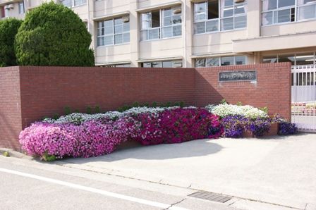 市立深津中学校の画像