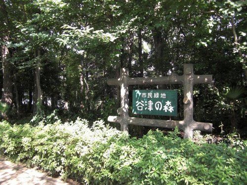 谷津の森公園の画像