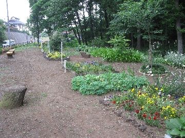 鳩峯公園の画像