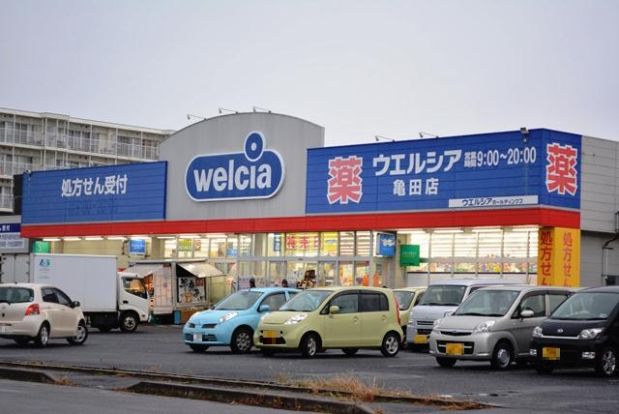 ウエルシア薬局亀田店の画像