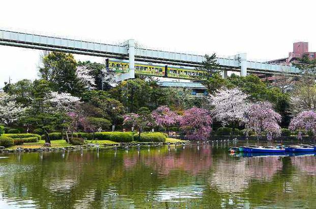 千葉公園の画像