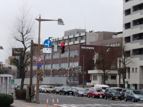 新潟大学 旭町キャンパスの画像