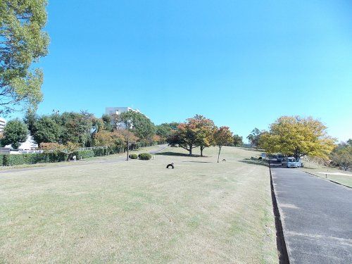 平山公園の画像